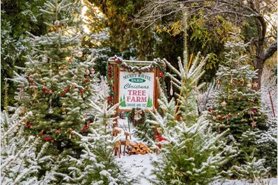 2740 Mace Road, Camino, CA 95709 - Photo 1