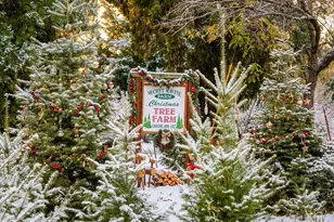 2740 Mace Rd, Camino, CA 95709 - Photo 1