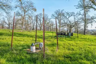 5358 Hwy 12, Wallace, CA 95254 - Photo 81