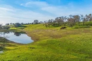 5358 Hwy 12, Wallace, CA 95254 - Photo 85