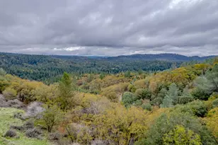 3841 Braden Rd, Camino, CA 95709 - Photo 1