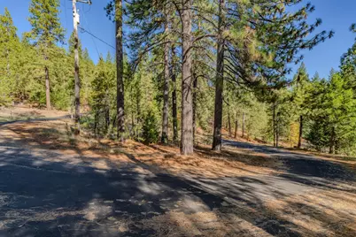 27190 Hill Road, Pioneer, CA 95666 - Photo 3