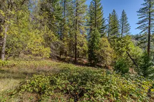 27190 Hill Rd, Pioneer, CA 95666 - Photo 1