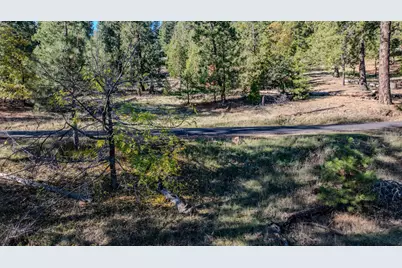 27190 Hill Road, Pioneer, CA 95666 - Photo 7