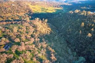 4053 Wilson Town Rd, Lincoln, CA 95648 - Photo 81