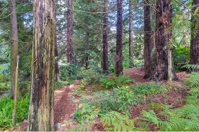 1598 Jade Lane, Penryn, CA 95663 - Photo 61