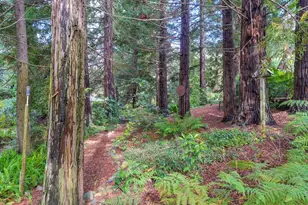 1598 Jade Ln, Penryn, CA 95663 - Photo 61