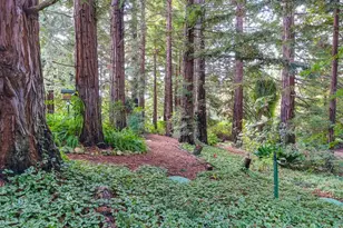 1598 Jade Ln, Penryn, CA 95663 - Photo 69