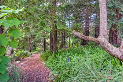 1598 Jade Lane, Penryn, CA 95663 - Photo 57