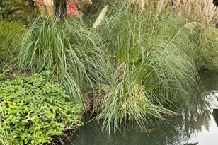 957 Fulton Ave, Sacramento, CA 95825 - Photo 19