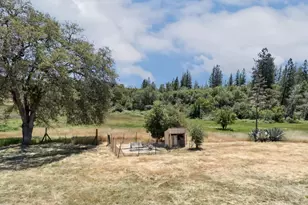 22115 Pleasant Valley Rd, North San Juan, CA 95960 - Photo 57