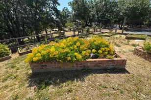 14764 Tanyard Hill Rd, Pine Grove, CA 95665 - Photo 65