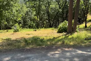 14764 Tanyard Hill Rd, Pine Grove, CA 95665 - Photo 77