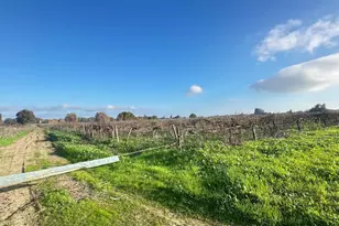 27350 Thornton Rd, Thornton, CA 95686 - Photo 3