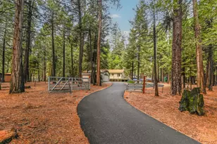 19243 Amador Ave, Pioneer, CA 95666 - Photo 29