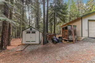 19243 Amador Ave, Pioneer, CA 95666 - Photo 27