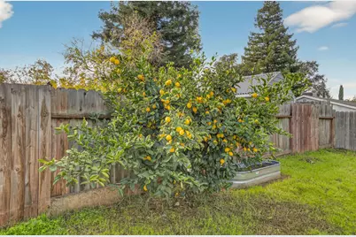 9342 Los Torres Drive, Elk Grove, CA 95624 - Photo 31