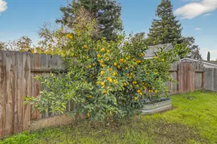 9342 Los Torres Dr, Elk Grove, CA 95624 - Photo 31