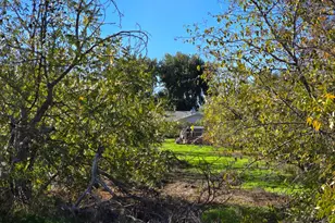 832 Old Hwy 99 W, Arbuckle, CA 95912 - Photo 53