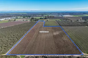 11385 S Union Rd, Manteca, CA 95336 - Photo 5