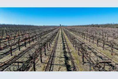 11385 S Union Road, Manteca, CA 95336 - Photo 11