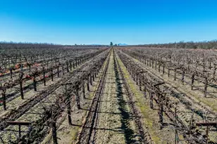 11385 S Union Rd, Manteca, CA 95336 - Photo 11