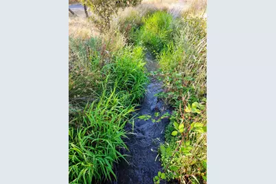 10516 Spring Valley Road, Marysville, CA 95901 - Photo 47