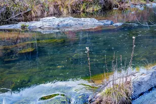 15747 French Town Rd, Brownsville, CA 95919 - Photo 13