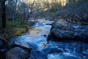 15747 French Town Rd, Brownsville, CA 95919 - Photo 57