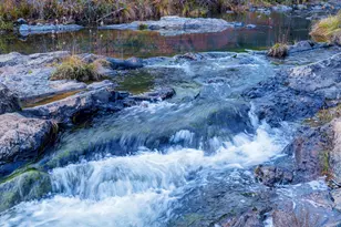 15747 French Town Rd, Brownsville, CA 95919 - Photo 19