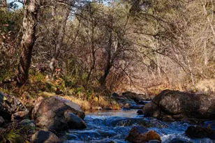 15747 French Town Rd, Brownsville, CA 95919 - Photo 47