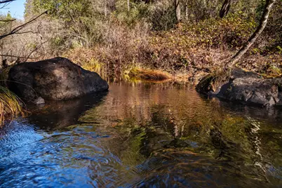 15747 Frenchtown Road, Brownsville, CA 95919 - Photo 45