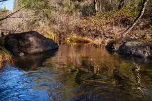 15747 French Town Rd, Brownsville, CA 95919 - Photo 45