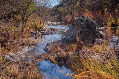 15747 Frenchtown Road, Brownsville, CA 95919 - Photo 15
