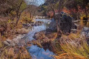 15747 French Town Rd, Brownsville, CA 95919 - Photo 15