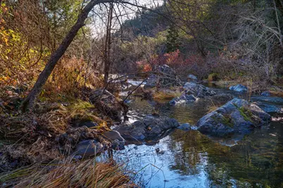 15747 Frenchtown Road, Brownsville, CA 95919 - Photo 53