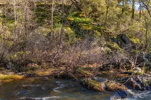 15747 French Town Rd, Brownsville, CA 95919 - Photo 17