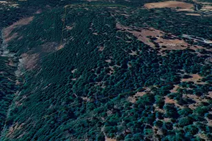 15747 French Town Rd, Brownsville, CA 95919 - Photo 31