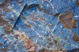 15747 French Town Rd, Brownsville, CA 95919 - Photo 23