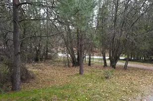 2805 Mason Rd, Rail Road Flat, CA 95248 - Photo 69