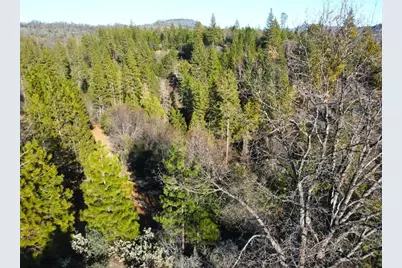 2805 Mason Road, Rail Road Flat, CA 95248 - Photo 73