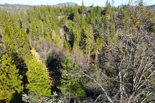 2805 Mason Rd, Rail Road Flat, CA 95248 - Photo 73