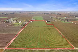 14235 N Vintage Rd, Lodi, CA 95240 - Photo 3