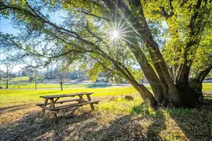 4371 Luneman Rd, Placerville, CA 95667 - Photo 69