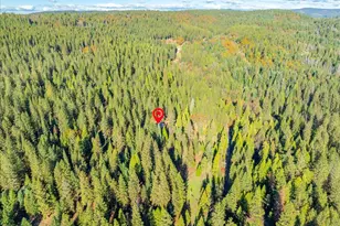 111 Alaska Peak, North San Juan, CA 95960 - Photo 79