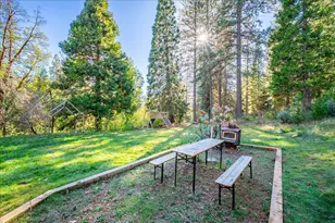 111 Alaska Peak, North San Juan, CA 95960 - Photo 57