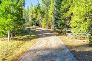 111 Alaska Peak, North San Juan, CA 95960 - Photo 75