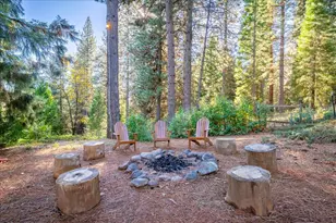 111 Alaska Peak, North San Juan, CA 95960 - Photo 59