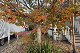 Gardenia, Sacramento, CA 95828 - Photo 9