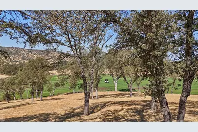 20 Mosswood Court, Copperopolis, CA 95228 - Photo 81